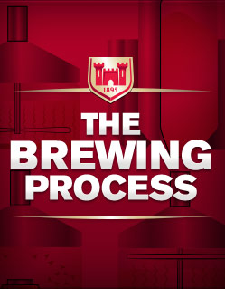 The Brewing Process