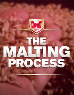 The Malting Process